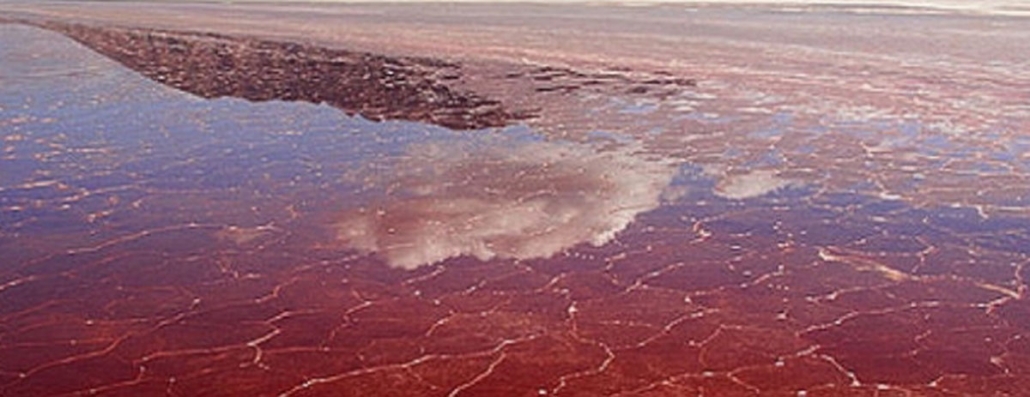 can you swim in lake natron